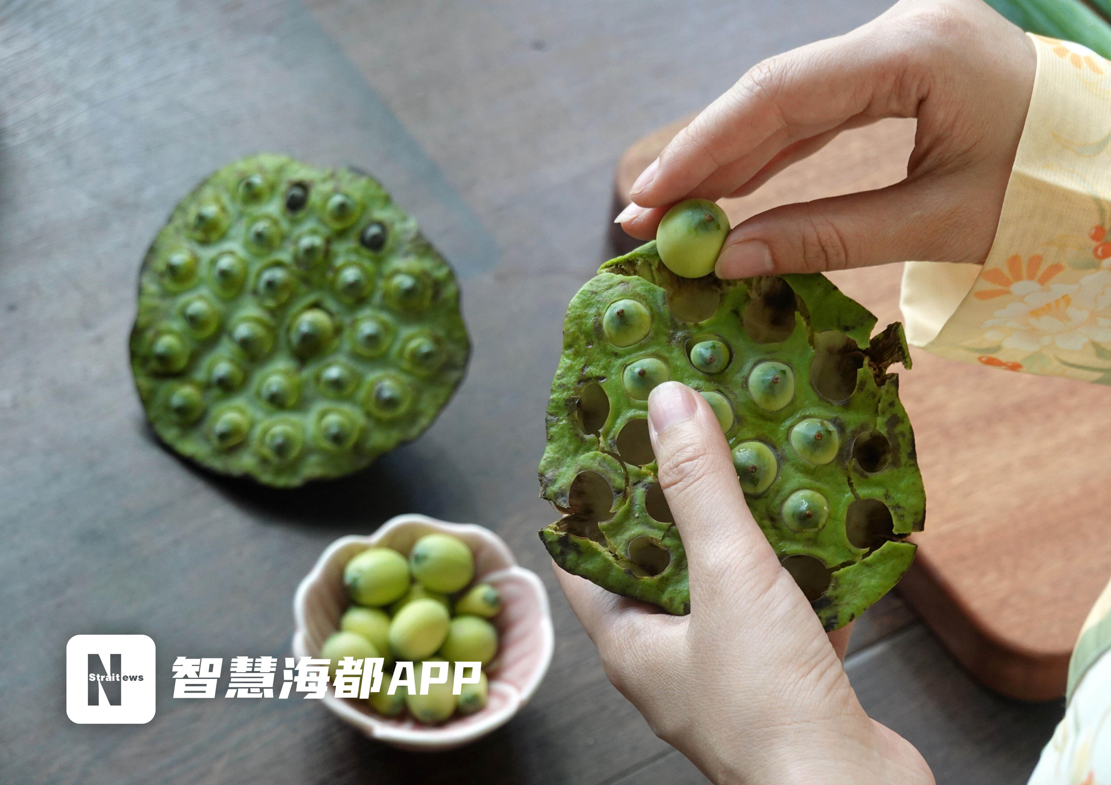 凉拌藕带、荷花糕、莲心茶……这个盛夏，去福州西湖赴一场荷花宴