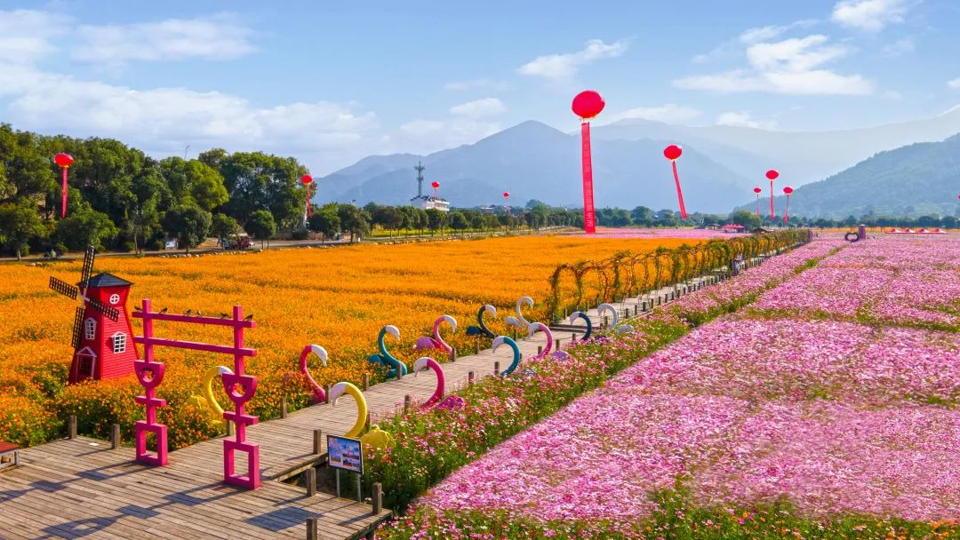 燃情世界杯畅嗨古村夜|安义古村群邀请你来看世界杯啦~