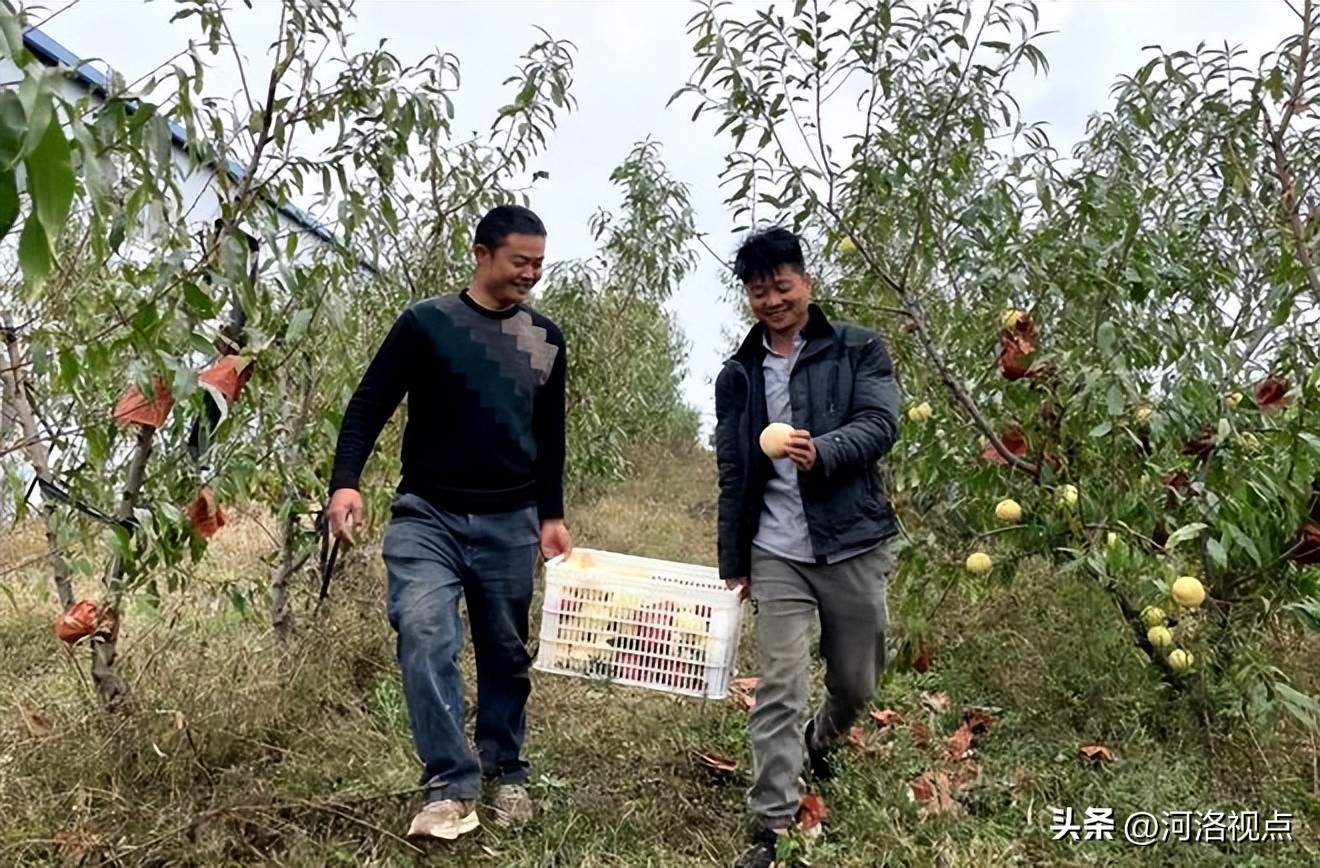 河南省汝阳县上店镇庙岭村：探索发展乡村运营新路径
