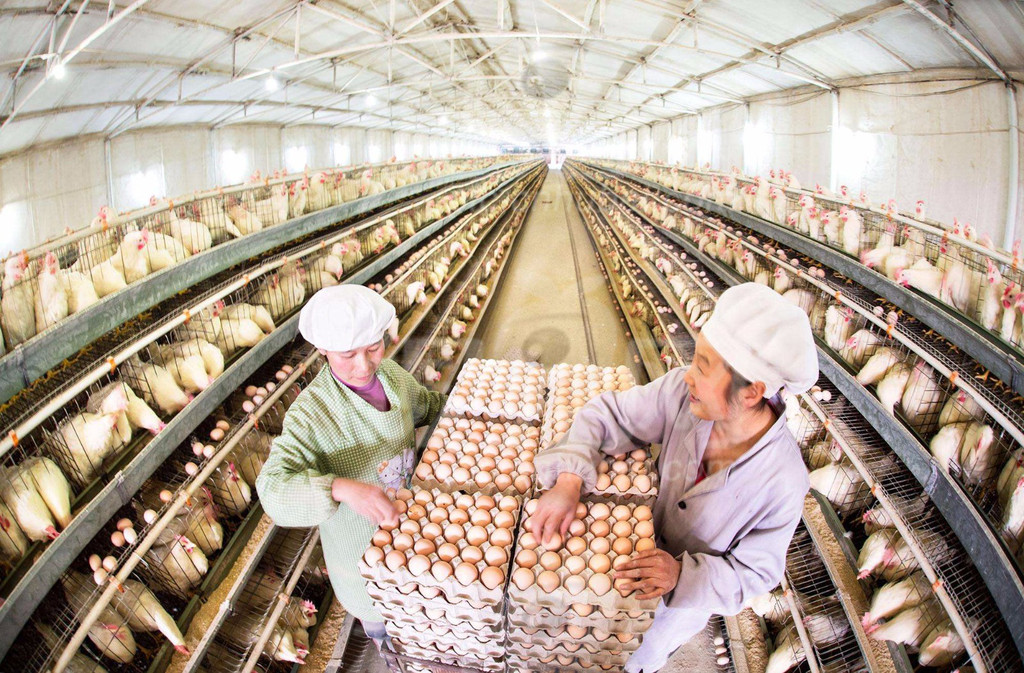 渠道营销的任务是什么,宣传渠道和营销渠道一样吗