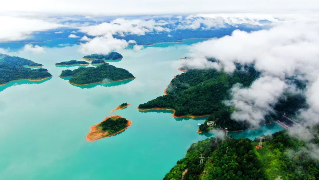 letsgo一周目图文攻略,letsgo图鉴攻略