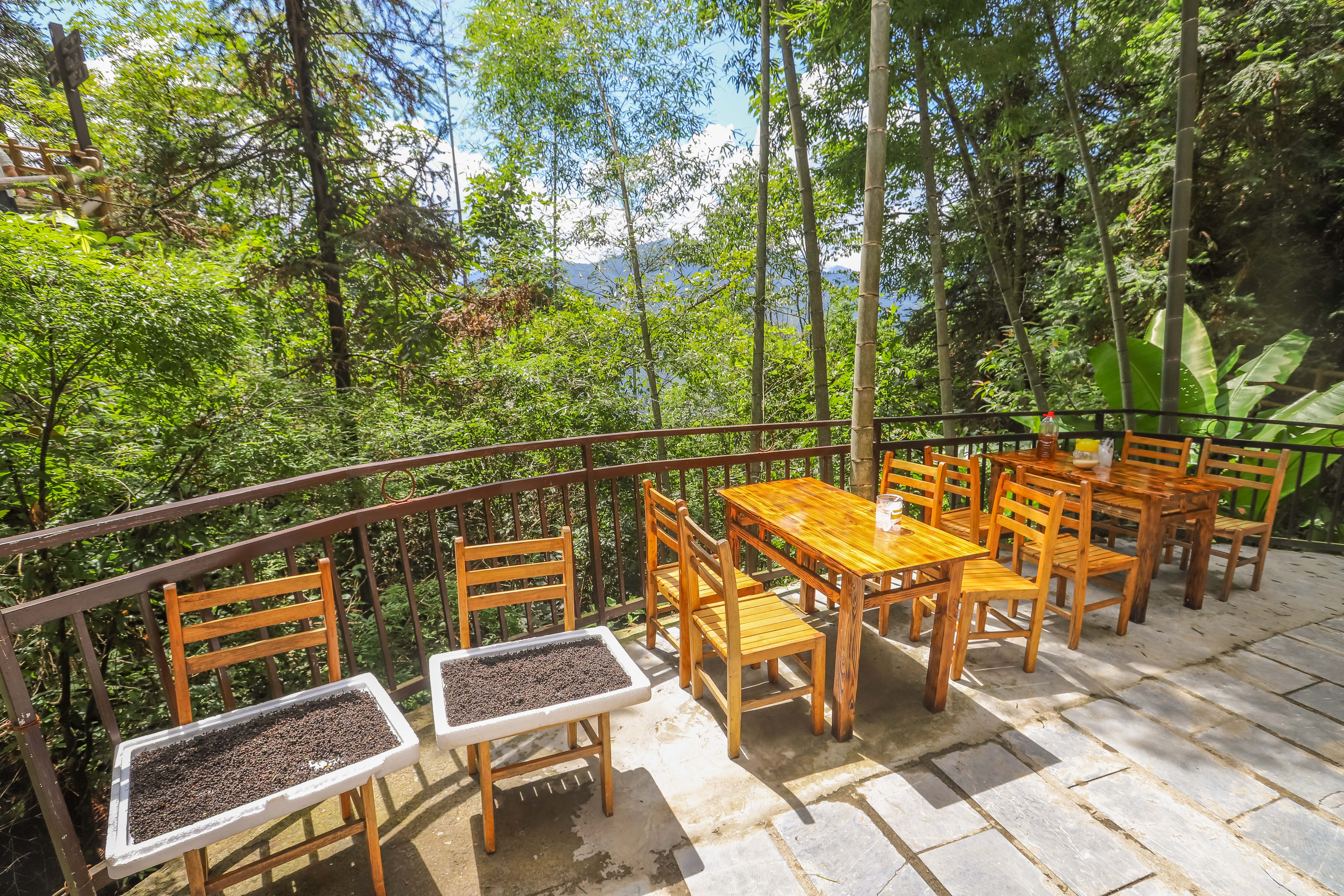 龙脊水稻梯田图片,龙脊水稻