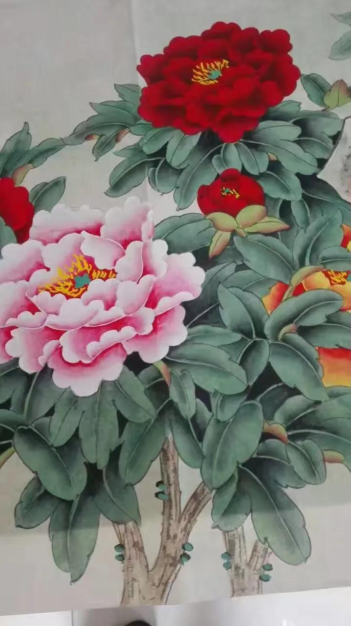 住院散文500字,住院文