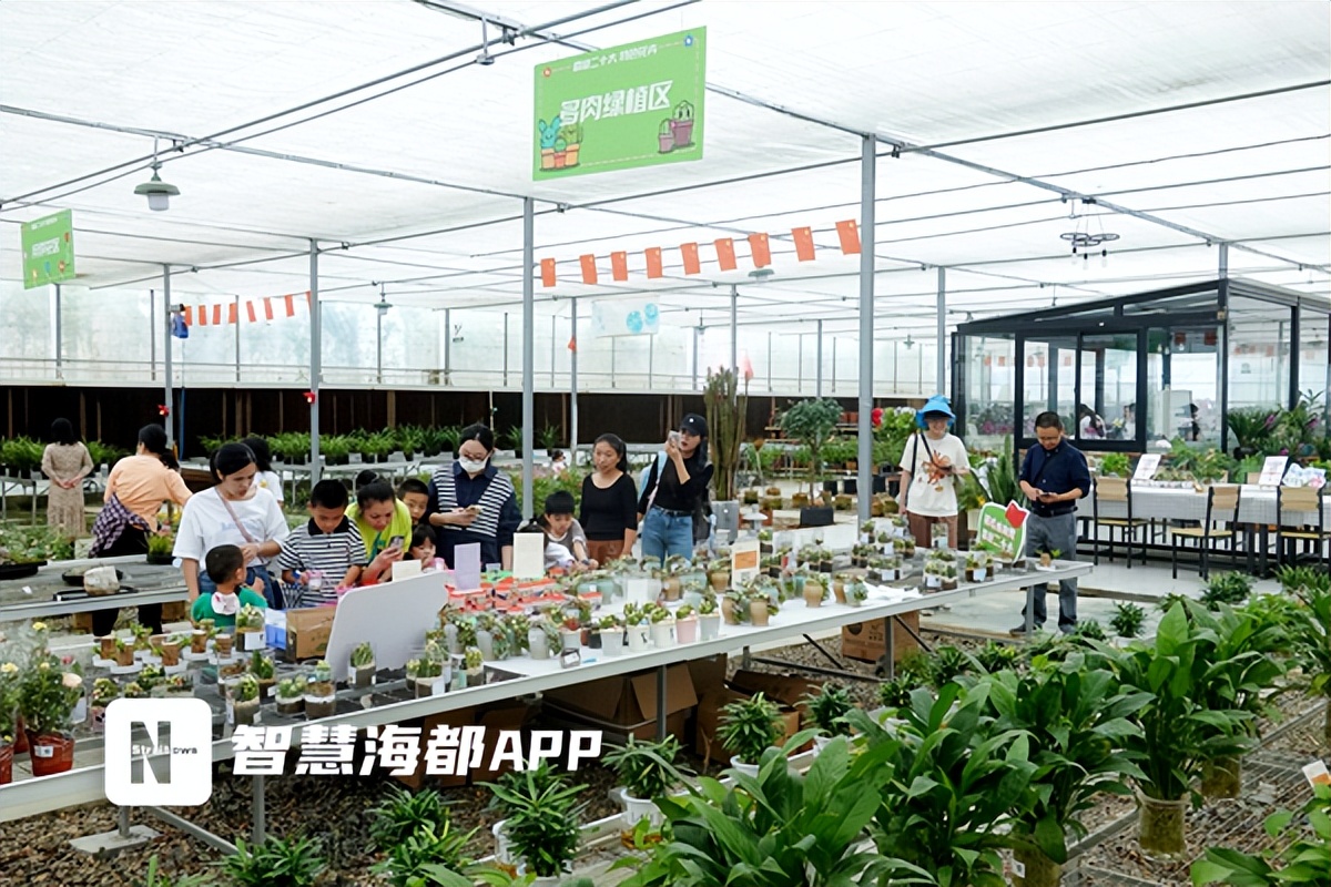 福州高速花博园,高新区花博园的最新视频