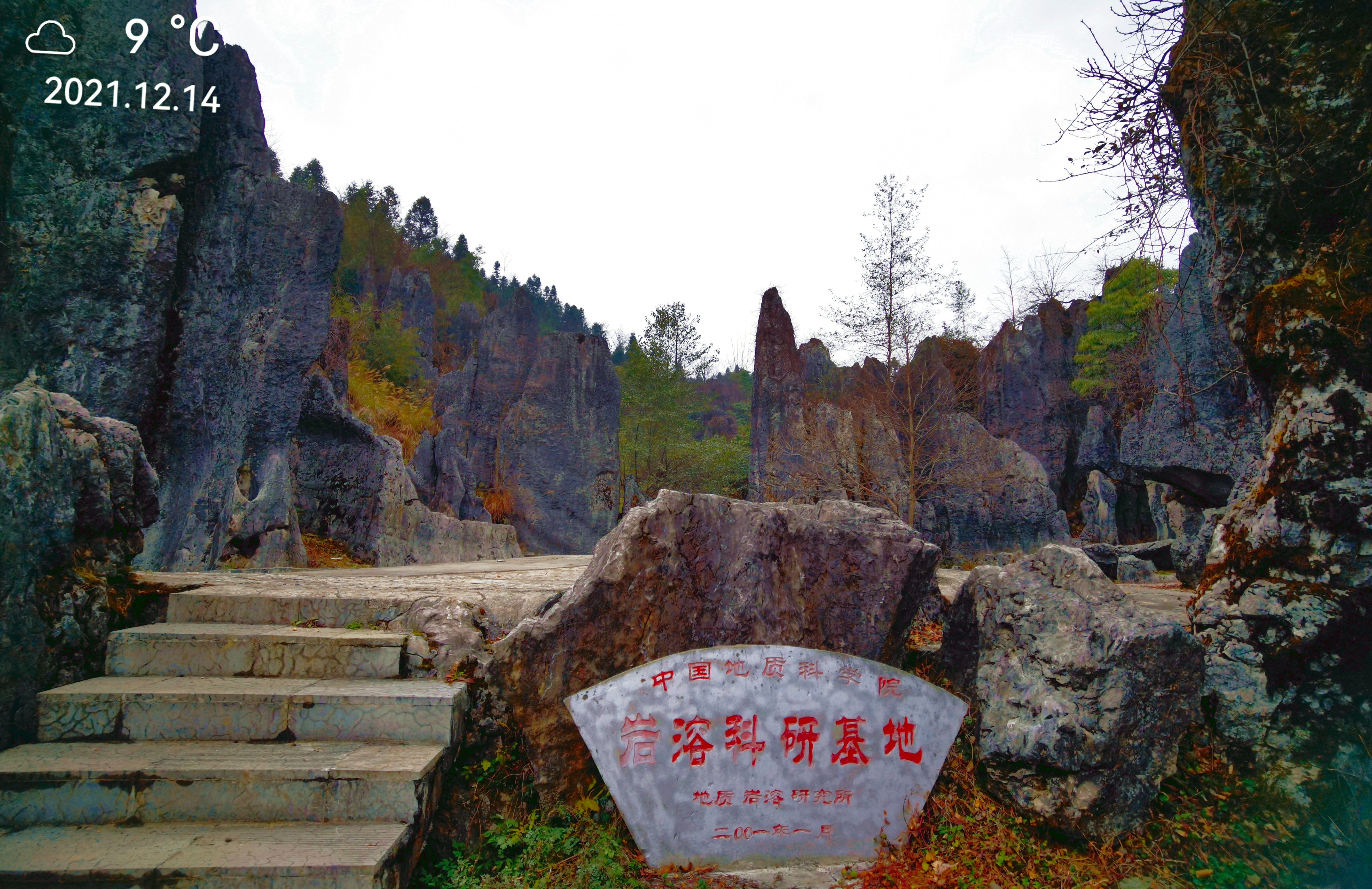 这里的两部百科全书值得一读