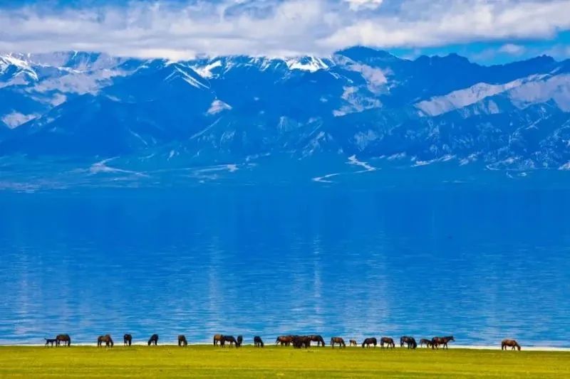 519旅游日景区半价活动,519中国旅游日北京免费景点