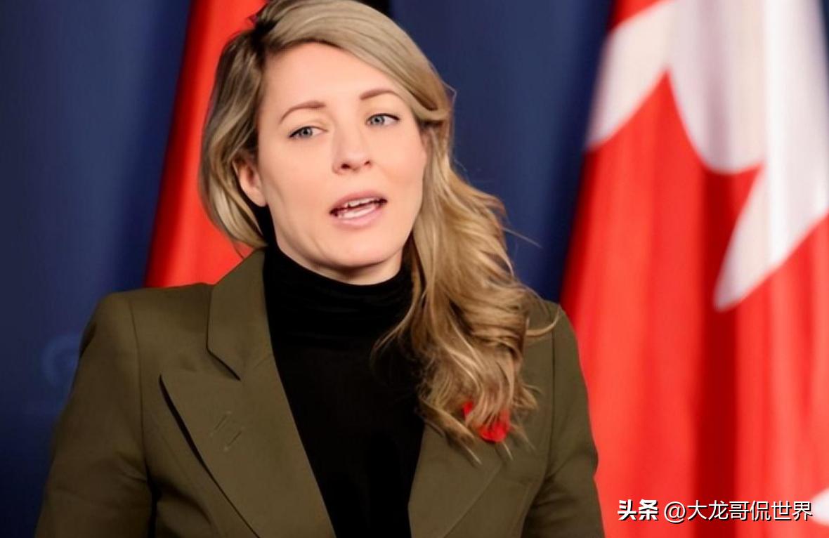 中方抗议加拿大威胁驱逐外交人员,加拿大驱逐中国外交人员应对措施