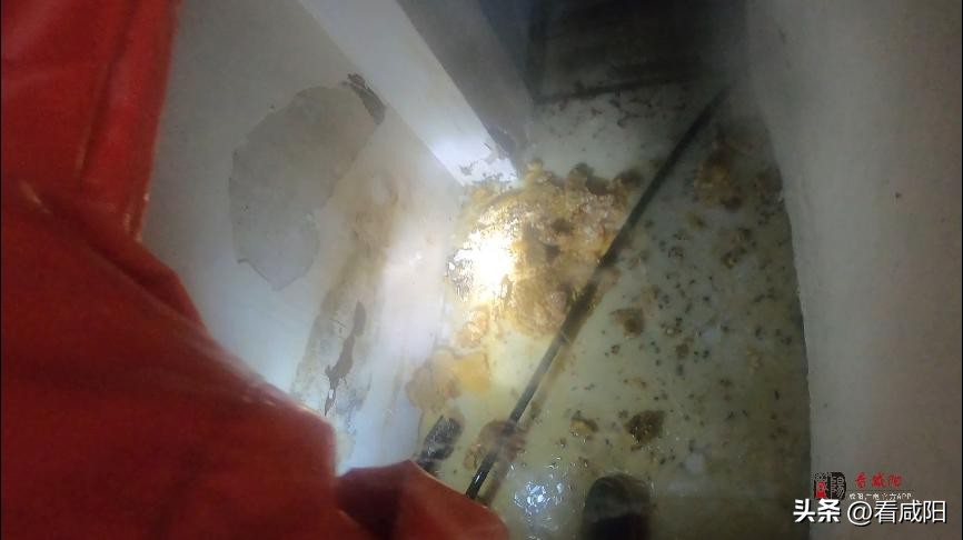 巨型蜜蜂窝惊呆消防员,巨型蜂窝压塌天花板瞬间蜜蜂满屋