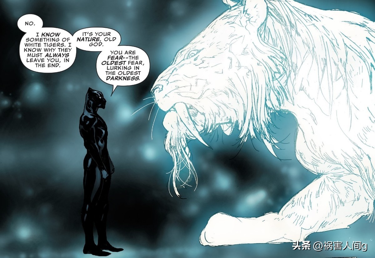 凤凰之力的对应物：初堕者、黑贝特、妖精之力、虎神和星鹰