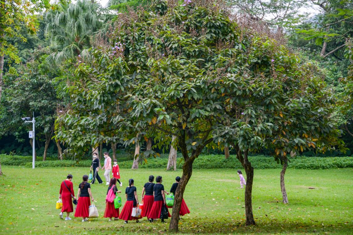 深圳东湖公园冬天游玩攻略,东湖公园打卡景点