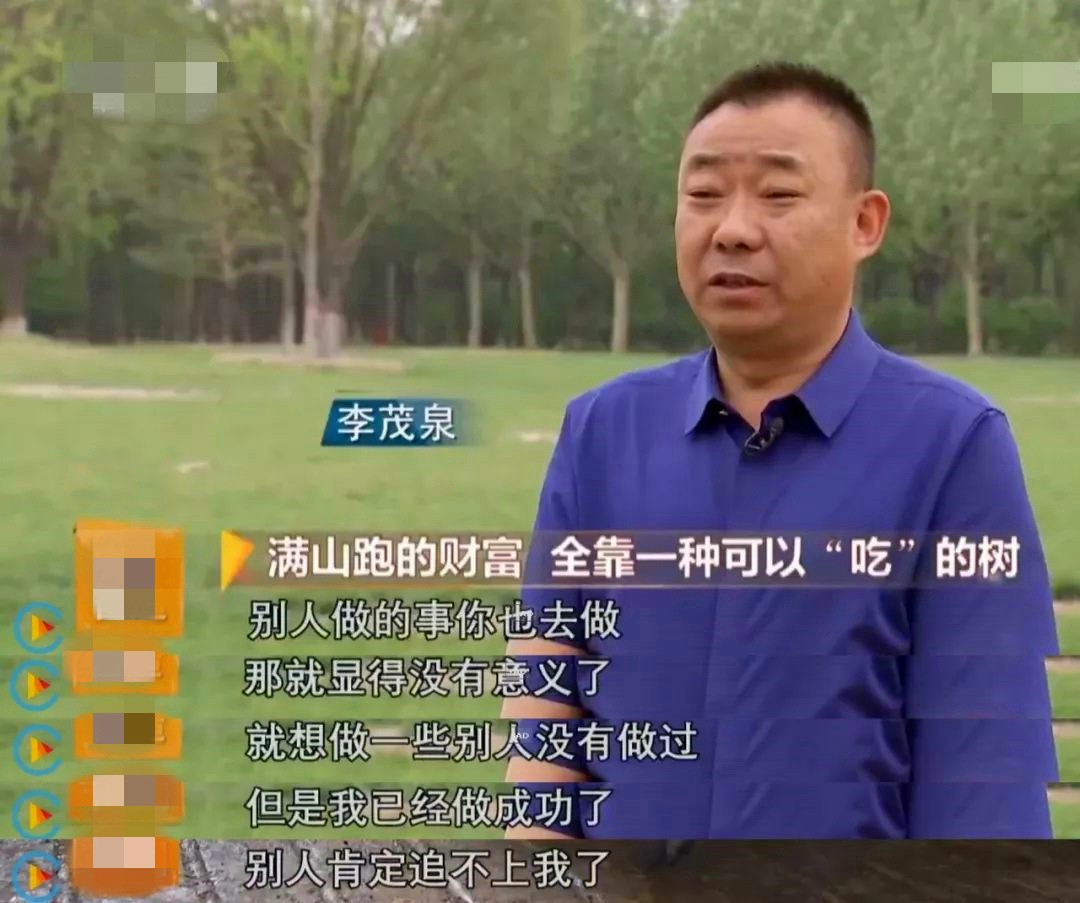 山西矿老板发现养殖商机种植构树,矿老板被骂