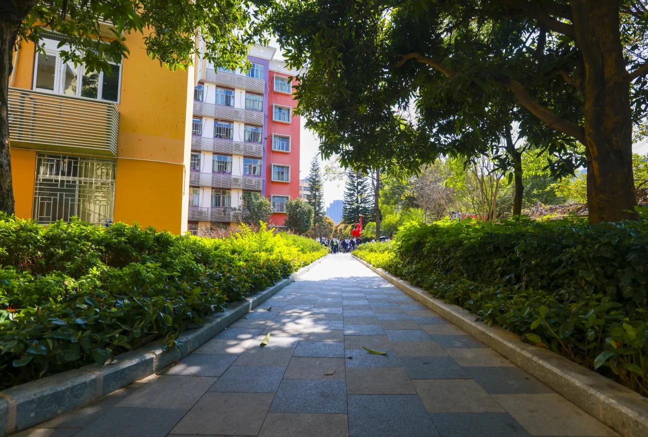 深圳十大私立贵族学校高中,深圳最贵民办高中学校