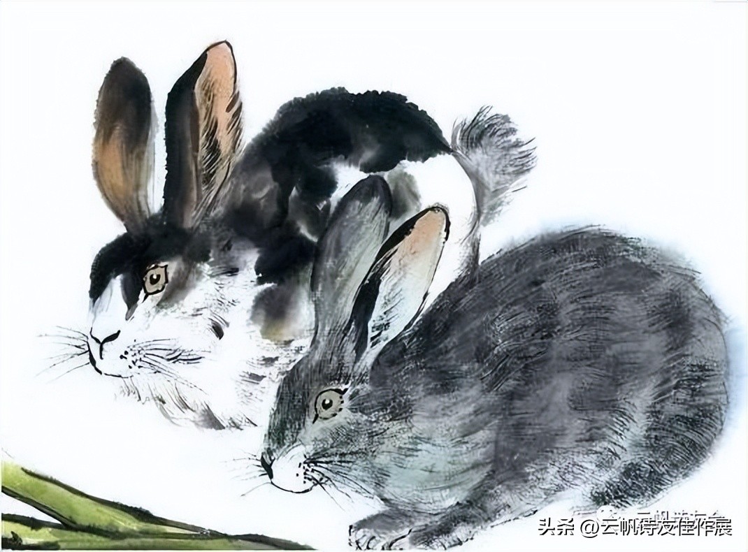 十二生肖唯美诗词,原创十二生肖诗词