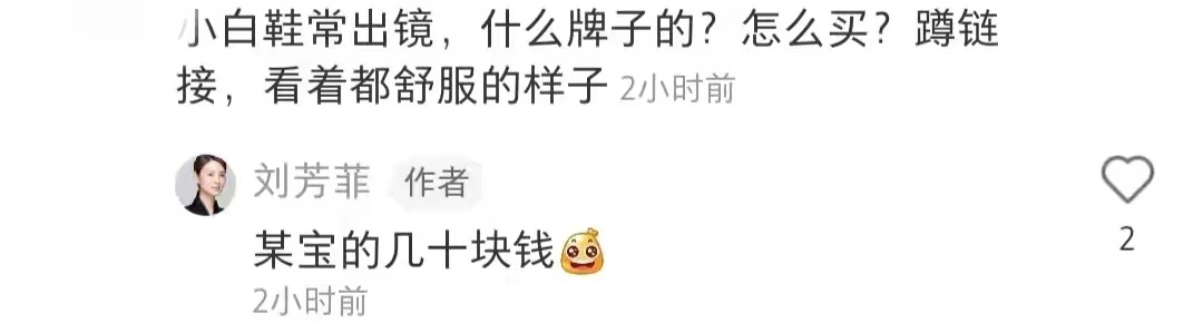 刘芳菲埃及之旅,主持人刘芳菲成名史