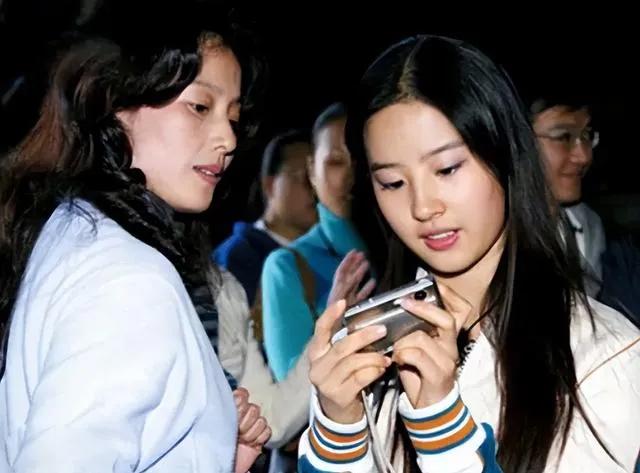 刘亦菲被霸凌事件后续,刘亦菲霸凌事件