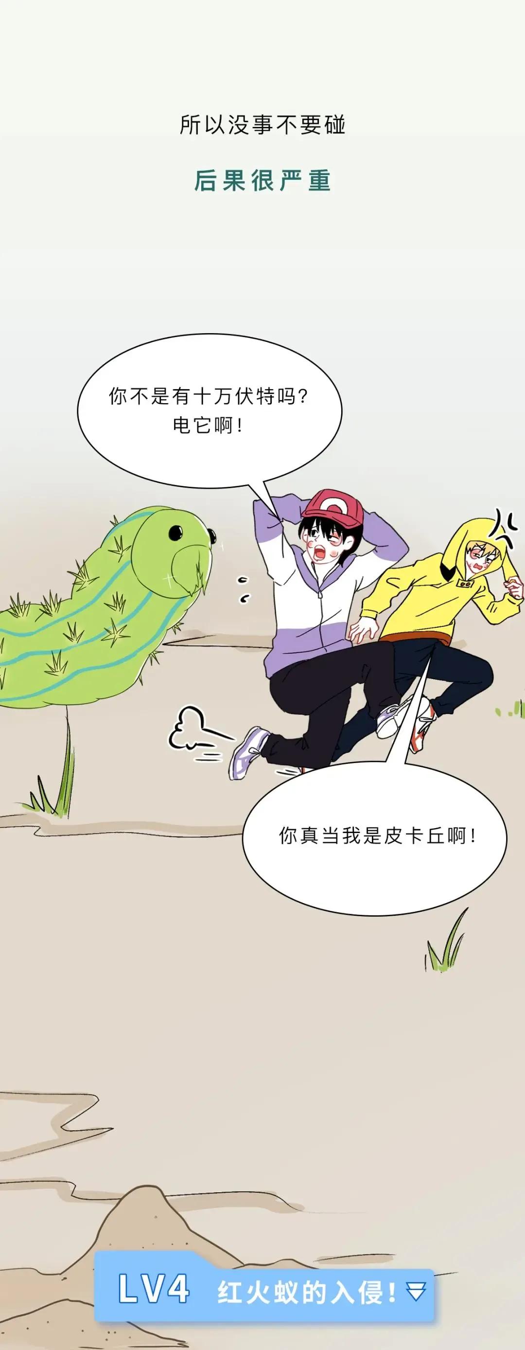 最近看到这些虫子，不要随便拍，建议提前了解（漫画讲解）