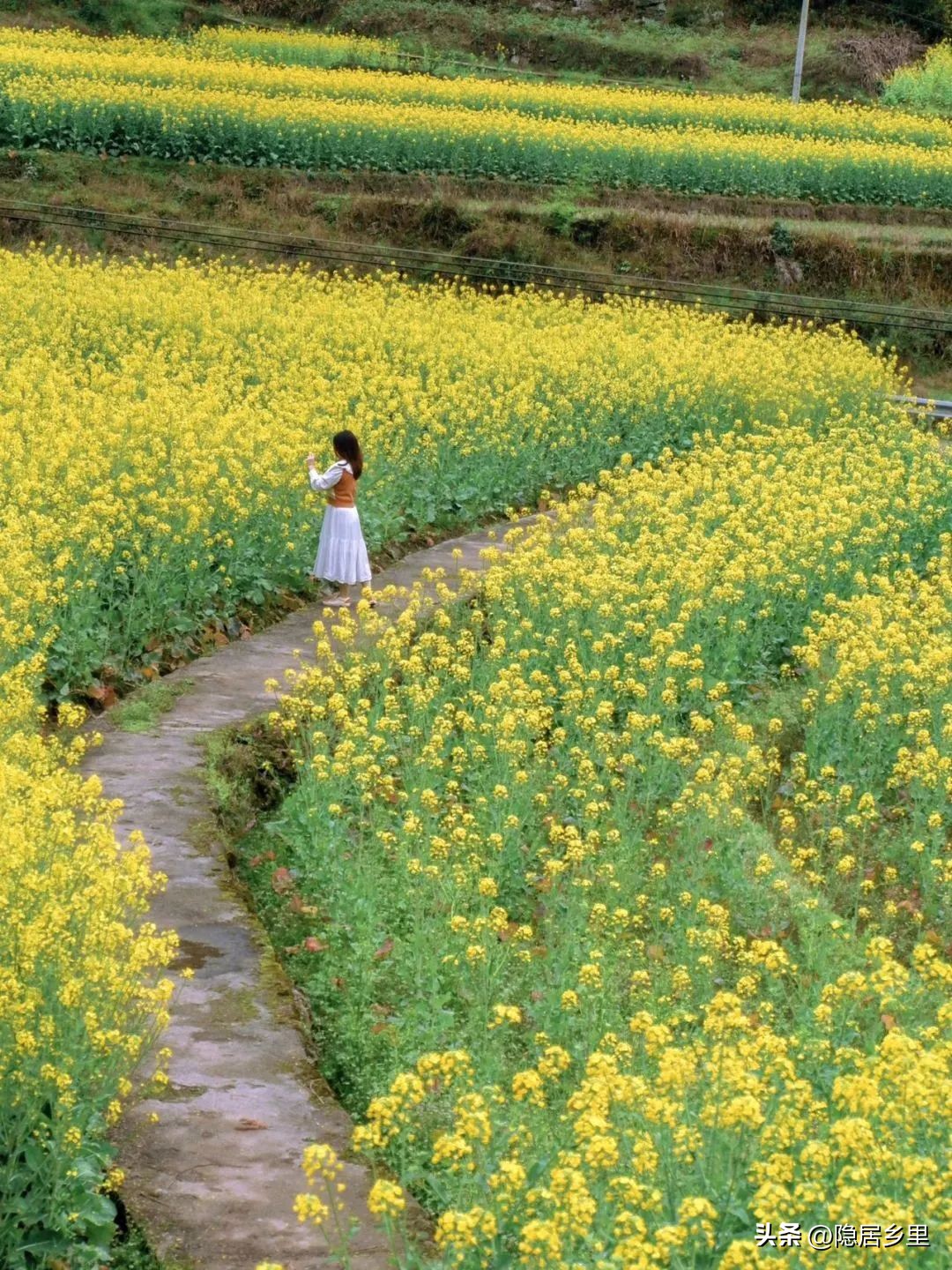 浪漫婚礼风民宿,很火的民宿婚礼