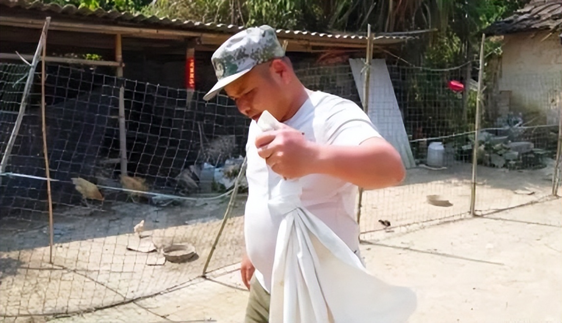 农村老人为什么说，打蛇，要么打死，要么就不要打，这是什么原因