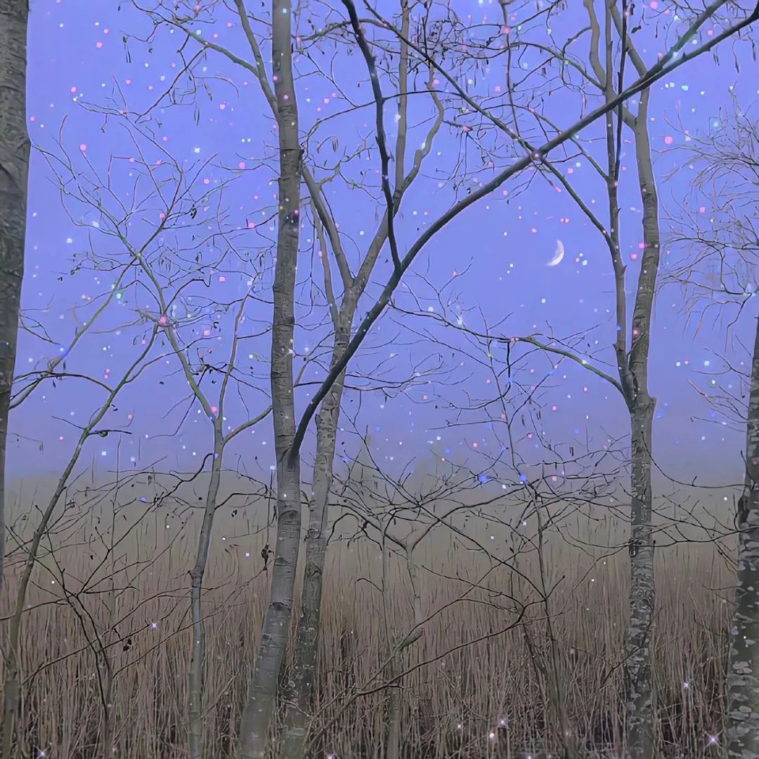 朋友圈背景图视频,朋友圈背景图怎么设置动态视频