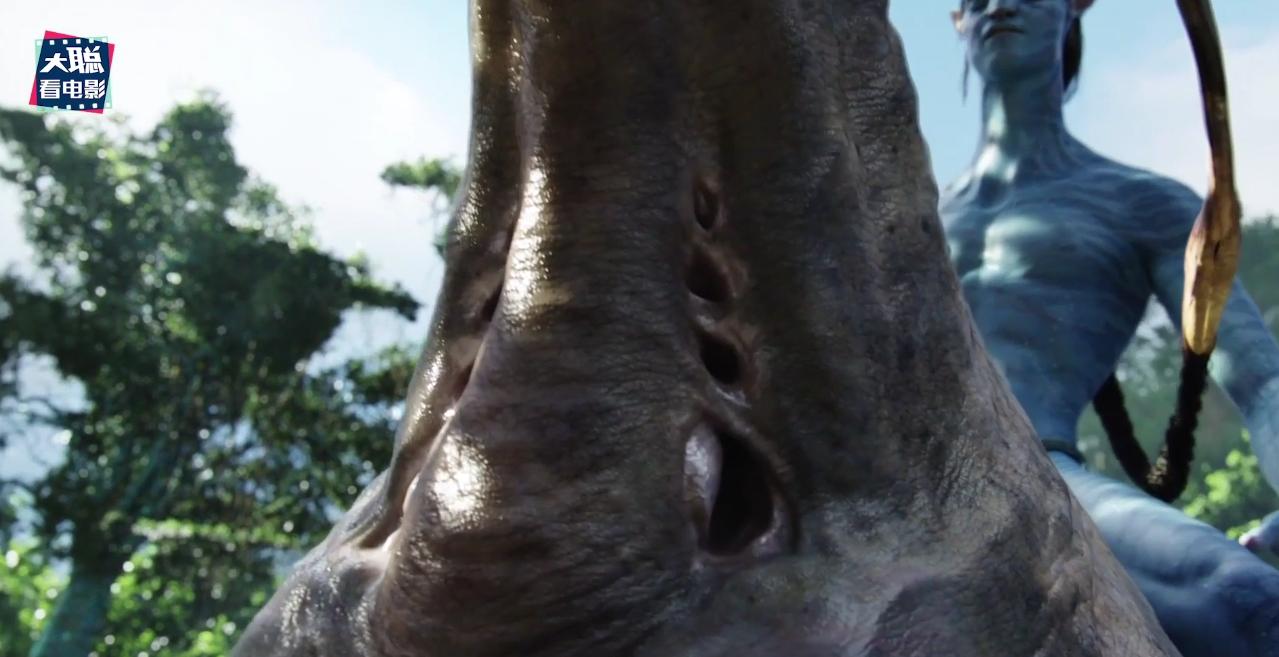 阿凡达解密,阿凡达2详细攻略大全