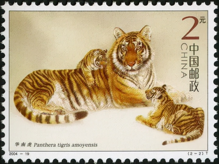 虎年，从“爱老虎邮”开始
