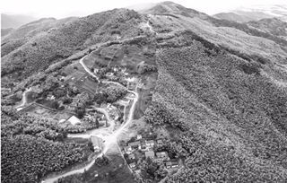 同样孤悬敌后，31师91团安全脱险而180师损失惨重，91团如何做到