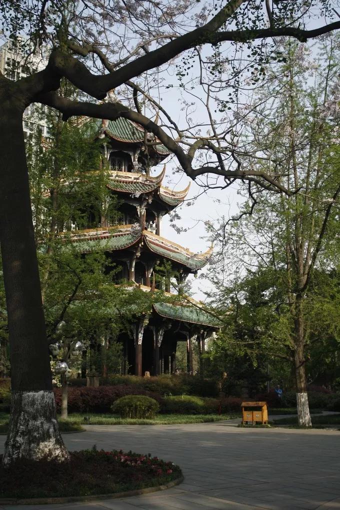 鎴愰兘鏈涙睙鍏洯鍦板潃,鎴愰兘鏈涙睙鍏洯鎾炰笂娌冲牑闄姢浼ゅ憳