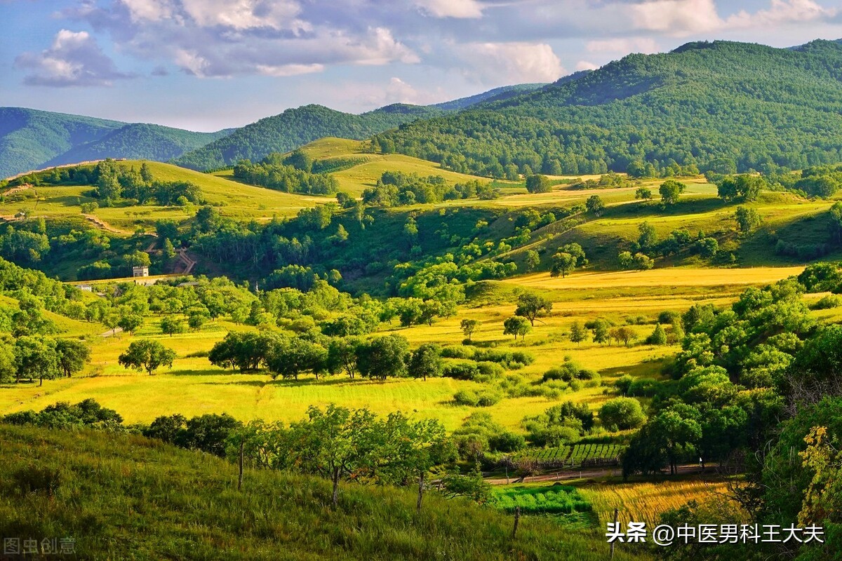 对于这种泄得快，不能盲目补阳，六味药以清代补复阳气