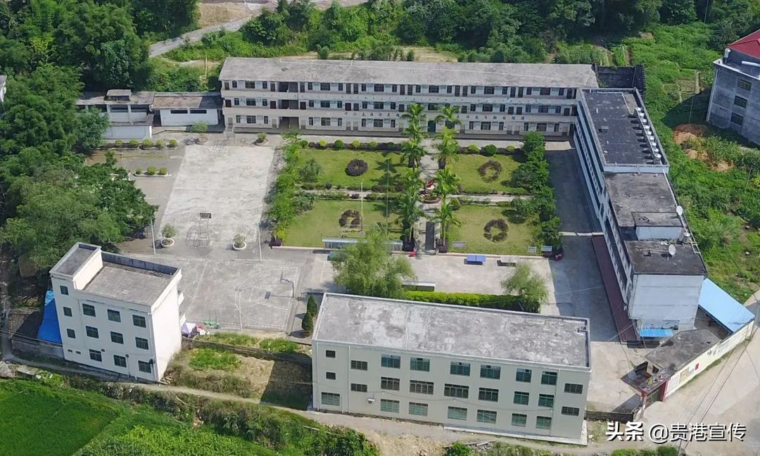 大鹏中心小学温逸宏,大鹏中心小学陈小波