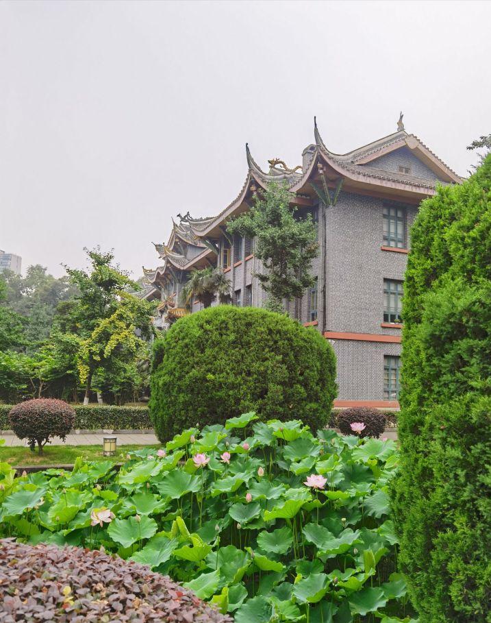 零基础转行机械行业来得及吗,学挖机学徒的十大忠告