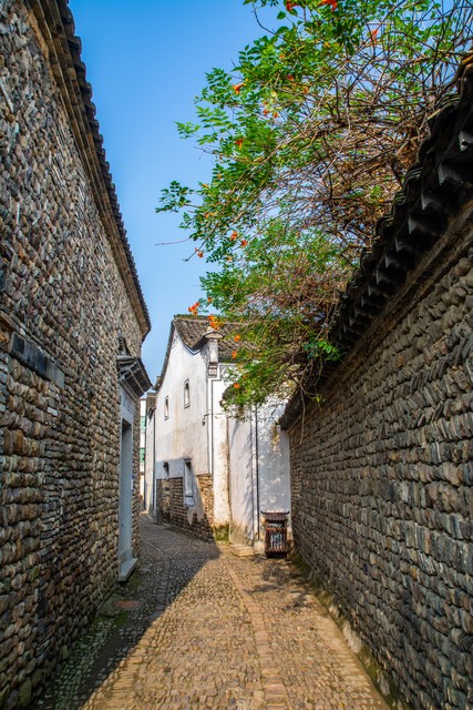 巷子里的故事随笔,写夏天巷子的随笔