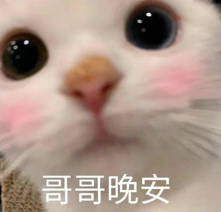 轻轻敲醒沉睡的心灵表情包全套,表情包轻轻敲醒沉睡的心灵全套