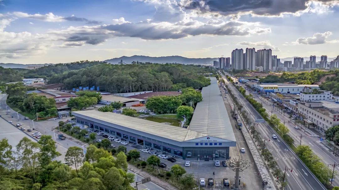 喜迎二十大丨东成镇：坚持*党**建引领走特色产业之路力促高质量发展