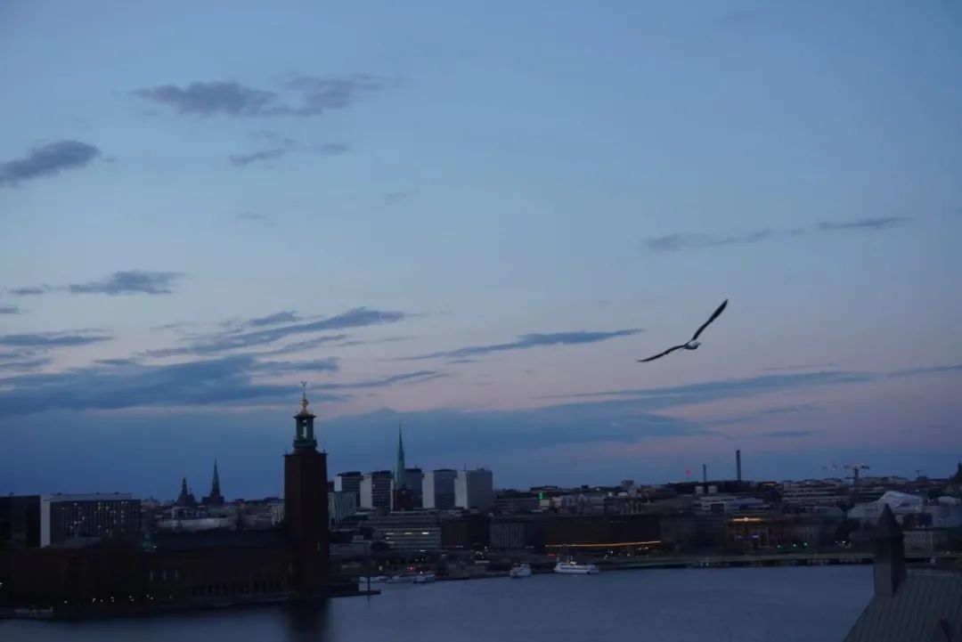 生活在瑞典的真实感受,在瑞典生活的日常