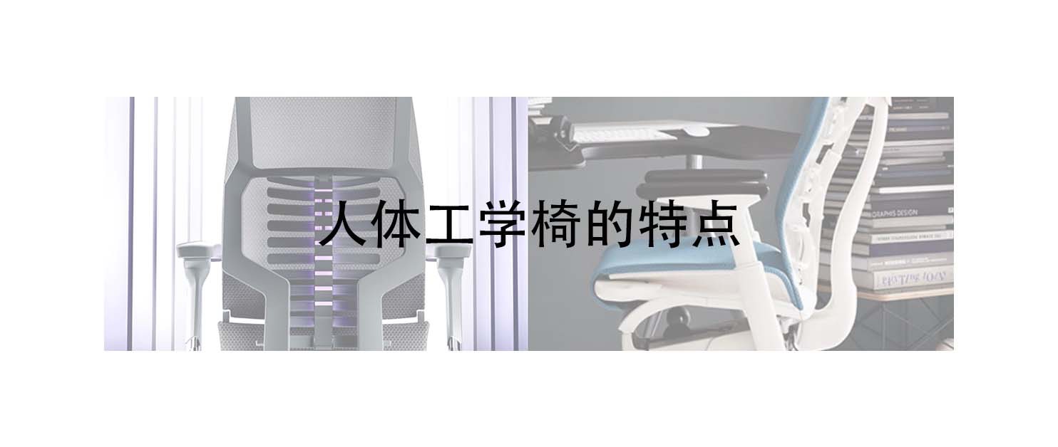 高端人体工学椅推荐排行榜,人体工学椅高端与入门区别