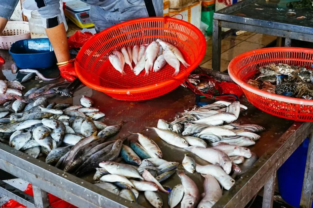 早餐烤乳猪，海鲜论盆卖？这座海岛小城舒坦得有点离谱了