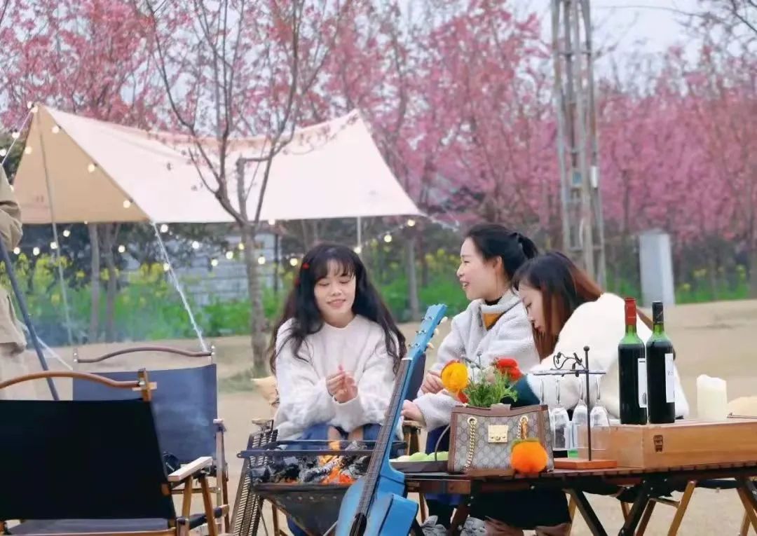 成都周边赏花烧烤一日游推荐免费,成都赏樱花露营