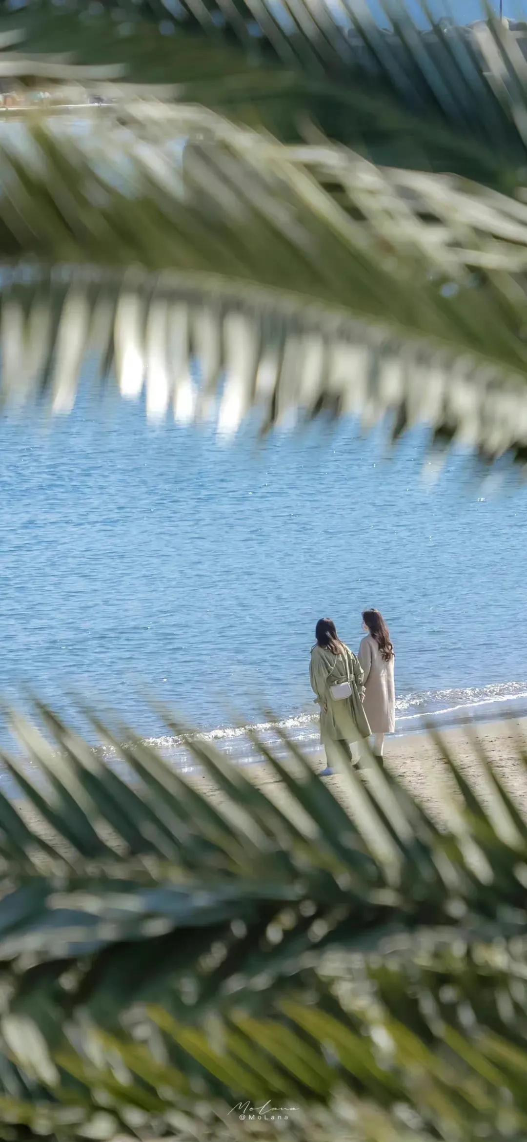 夏季清新凉快的壁纸高清,夏天一看就很凉爽的壁纸