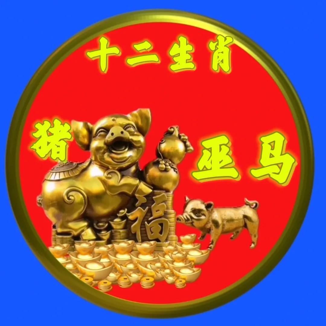 12生肖猪的姓氏头像,十二生肖猪姓氏头像壁纸