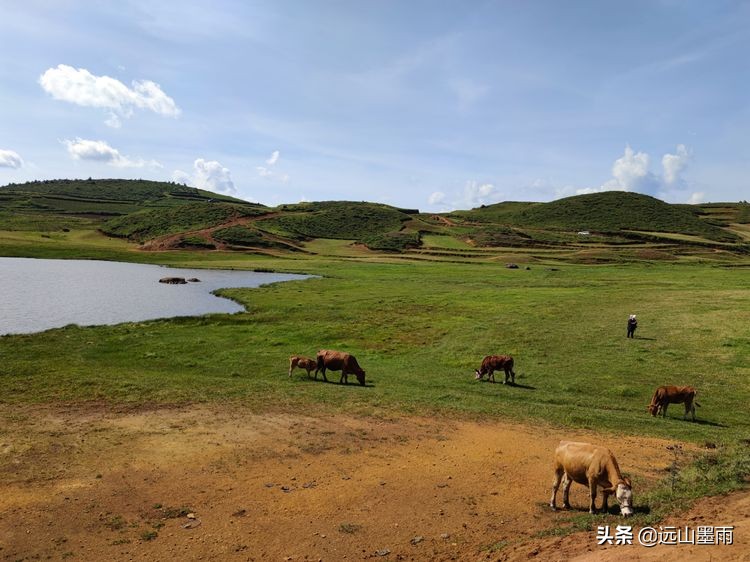 蓝天白云绿草间,蓝天白云草原绿草茵茵风景秀丽