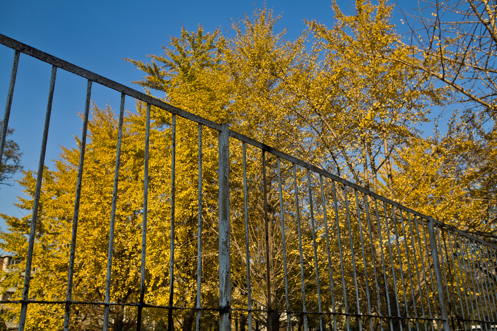 辽宁大学其实非常美，很多人都忽略了这些景色，你想来看看吗