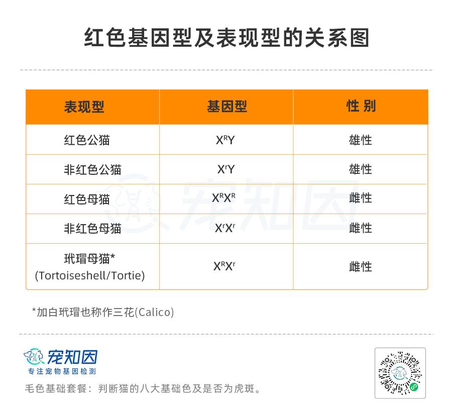 基因技术重大突破,基因科技的重大突破