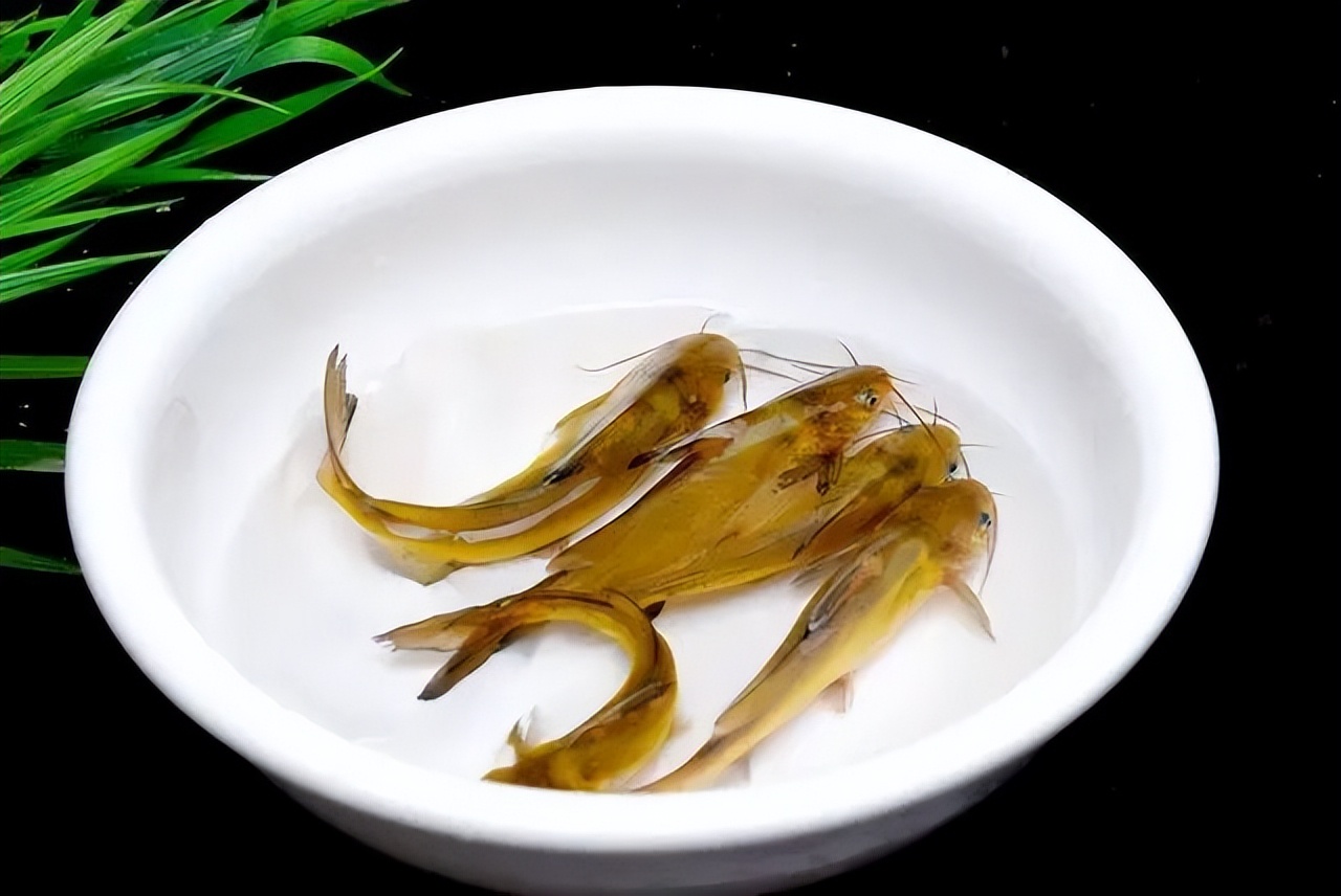 肝不好的人经常吃面条有影响吗,肝不好的人可多吃四种食物