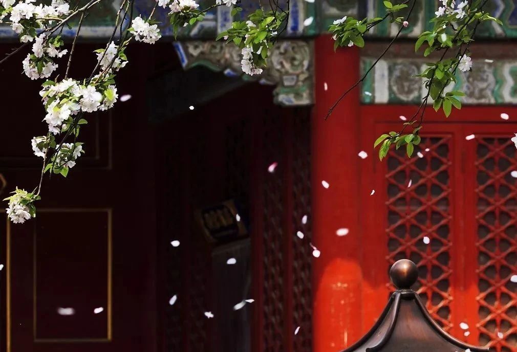 关于春的古诗词大全100首,100首关于春的古诗词美到令人窒息