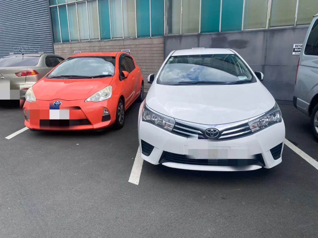 孙哥在新西兰:15岁退学,17岁生子,28岁出国,一小时挣200元