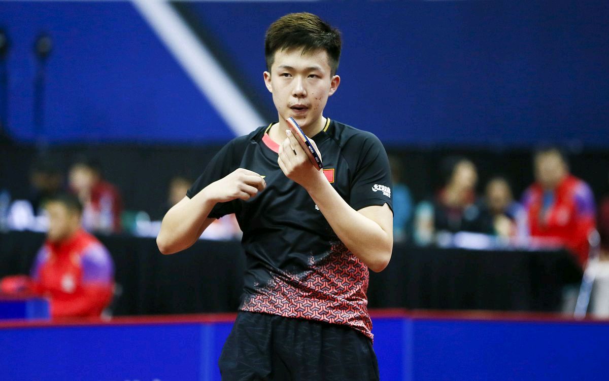 为国乒欢呼的王楚钦,王楚钦和陈梦