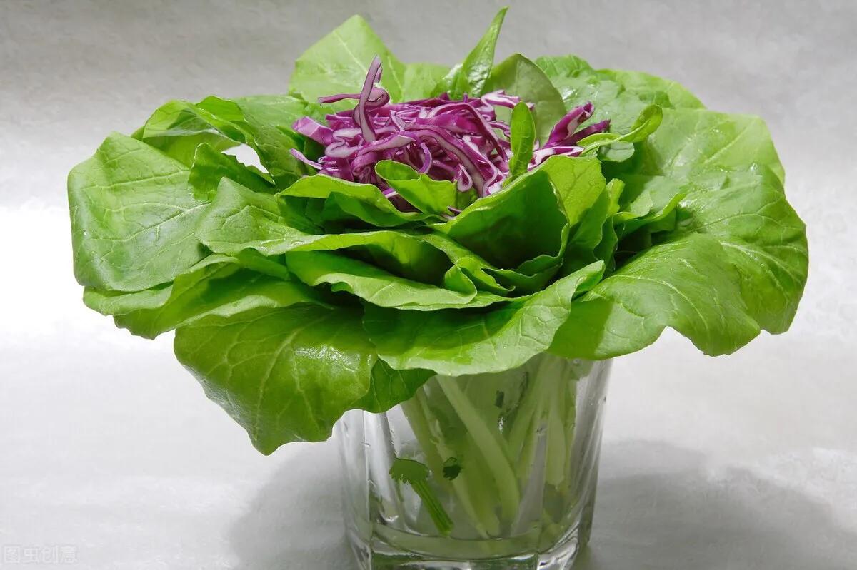 补钙第一名的菜芥蓝,营养专家推荐的7种绿叶蔬菜