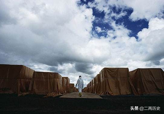 巴西19岁少年杀人案,巴西男子偷电身亡