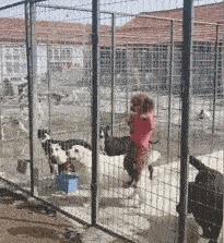 “和异性拼房的难忘，网友：拼了一次，废了两天”哈哈哈哈哈哈