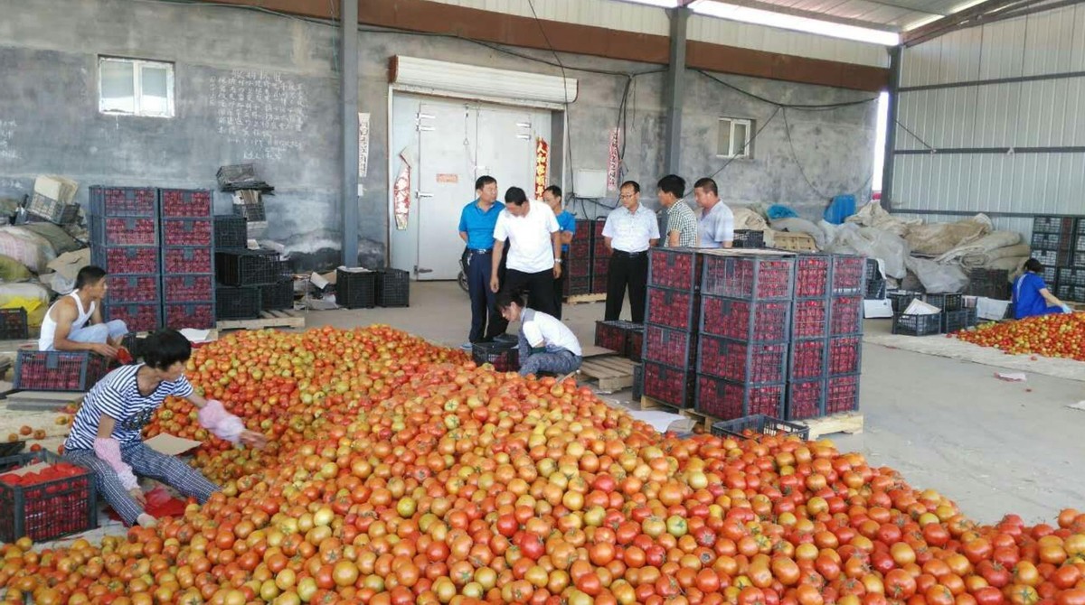 世界上最孤独的国家有多孤独？节假日商铺全关，却令无数人向往